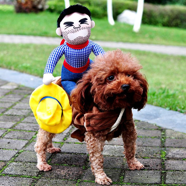 Novelty Funny Dog Costume