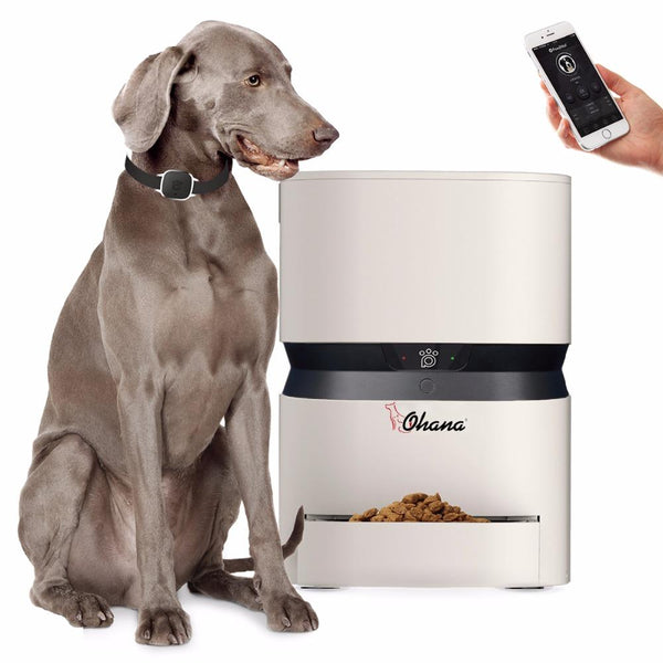 Robot Dog / Cat / Pet Automatic Foods Dispenser