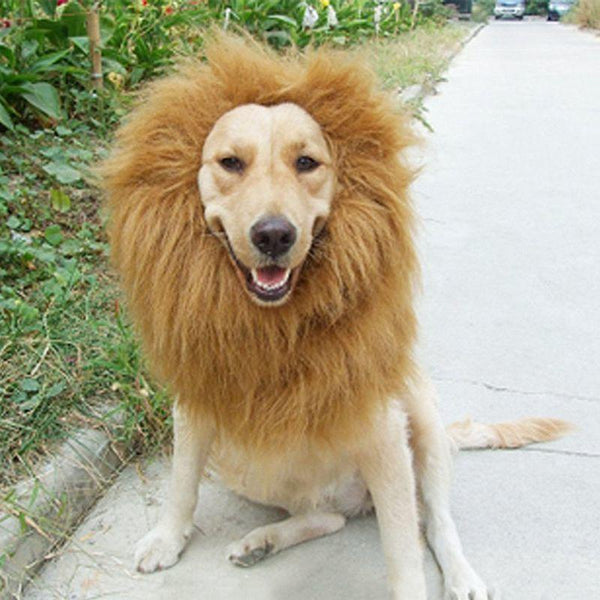 Pet Costume Cat Halloween Clothes Fancy Dress Up Lion Mane Wig For Dogs Festival Dress Up